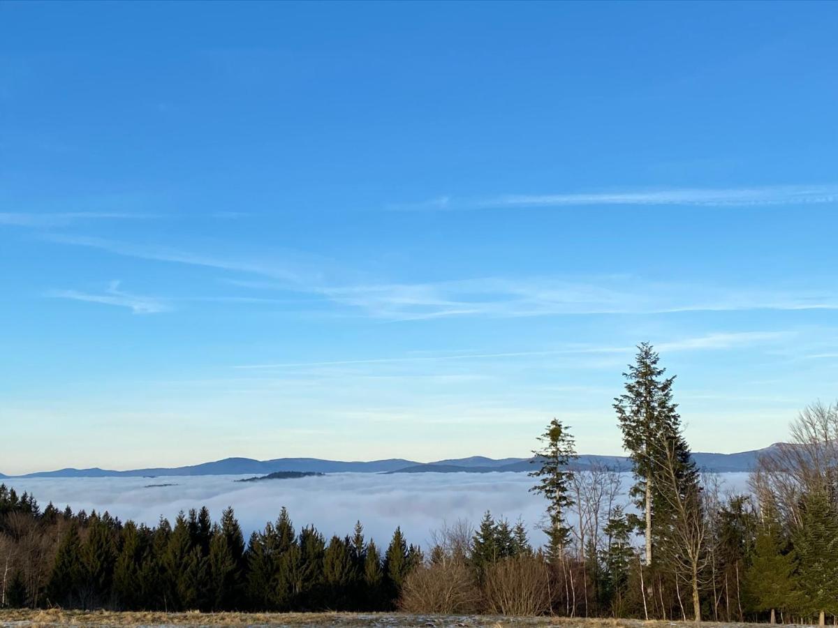 Uriges Top-Apartment Im Bayerischen Wald 3Br! +Netflix Schöfweg Eksteriør bilde